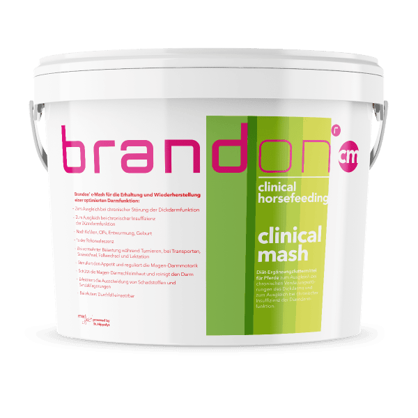 Brandon c-mash Brandon c-mash