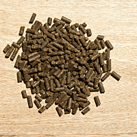 Hefekultur Hefekultur