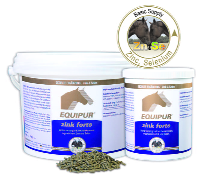 EQUIPUR - zink forte EQUIPUR - zink forte