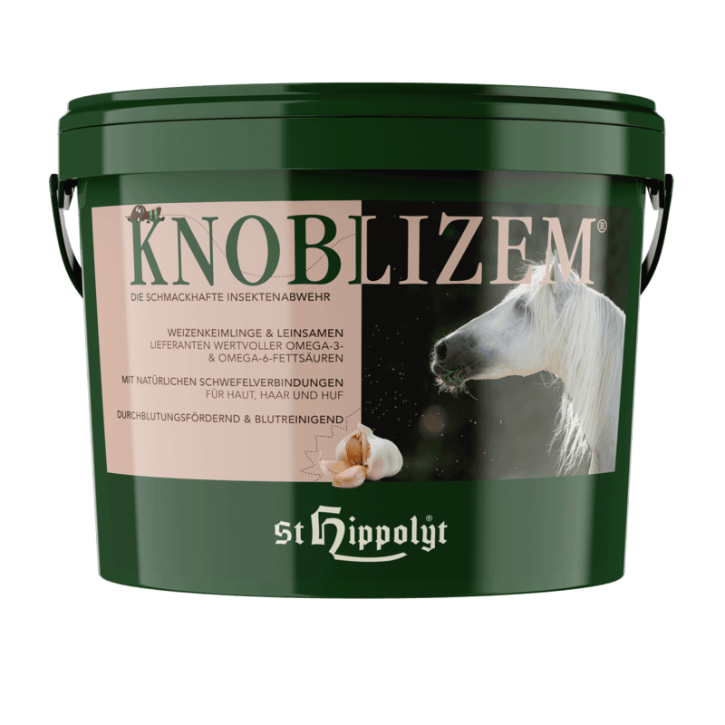 Knoblizem Knoblizem