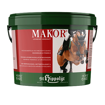 Makor