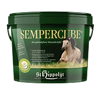 SemperCube SemperCube
