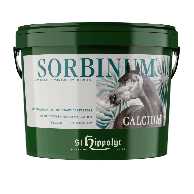 Sorbinum Calcium Sorbinum Calcium