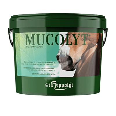 Mucolyt Atemwegskur