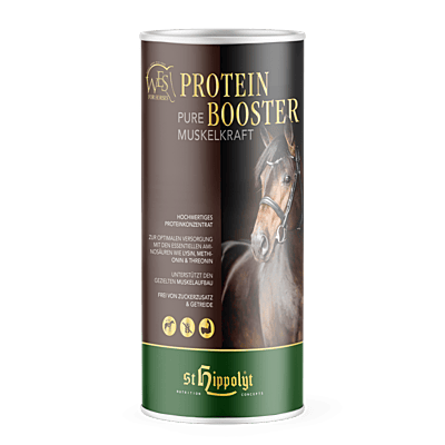 WES Protein Booster 750 g