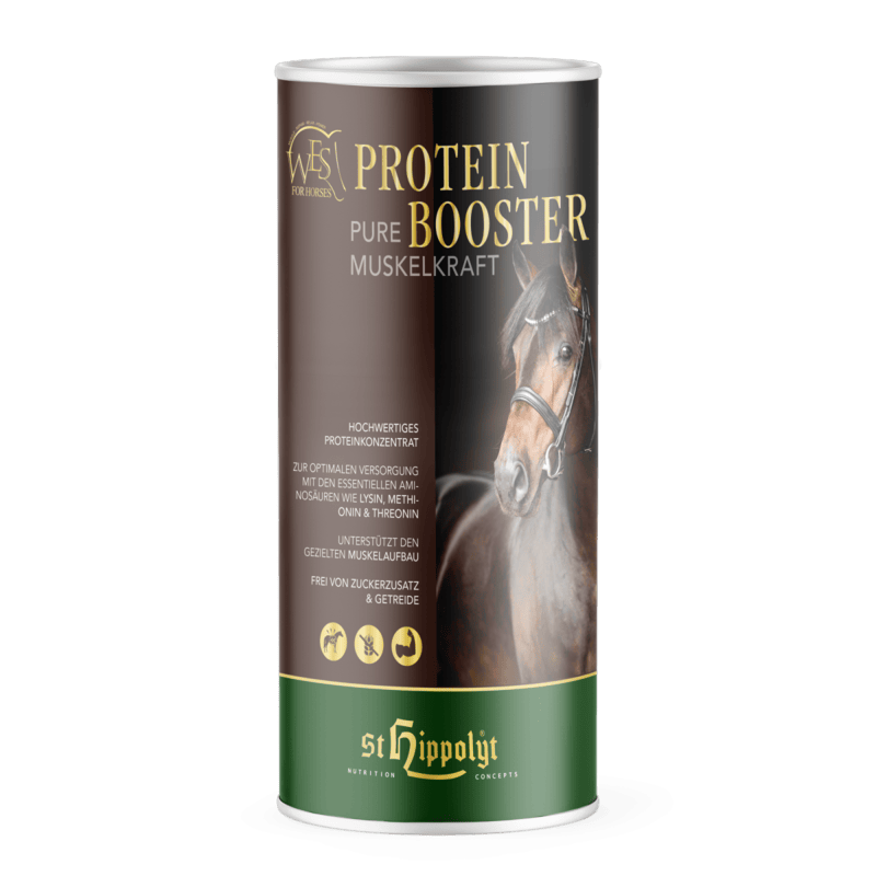 WES Protein Booster 750 g
