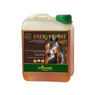 WES Energy Boost 5 l