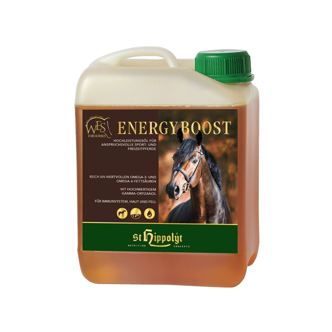 WES Energy Boost 5 l