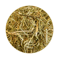 Glyx-Wiese Luzerne Mix 15 kg (neu 01/26) Glyx-Wiese Luzerne Mix 15 kg (neu 01/26)